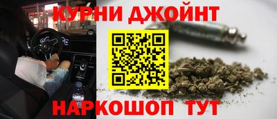 сатива Ирбит