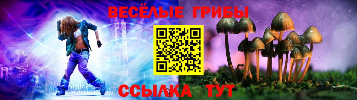 Псилоцибиновые грибы Psilocybine cubensis Курчатов